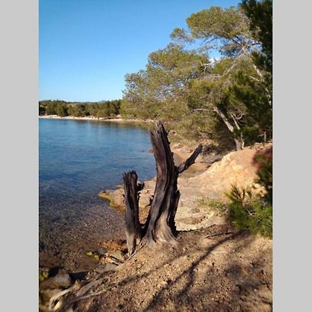 Face Mer Entre Plage Et Marina Bormes-les-Mimosas Zewnętrze zdjęcie