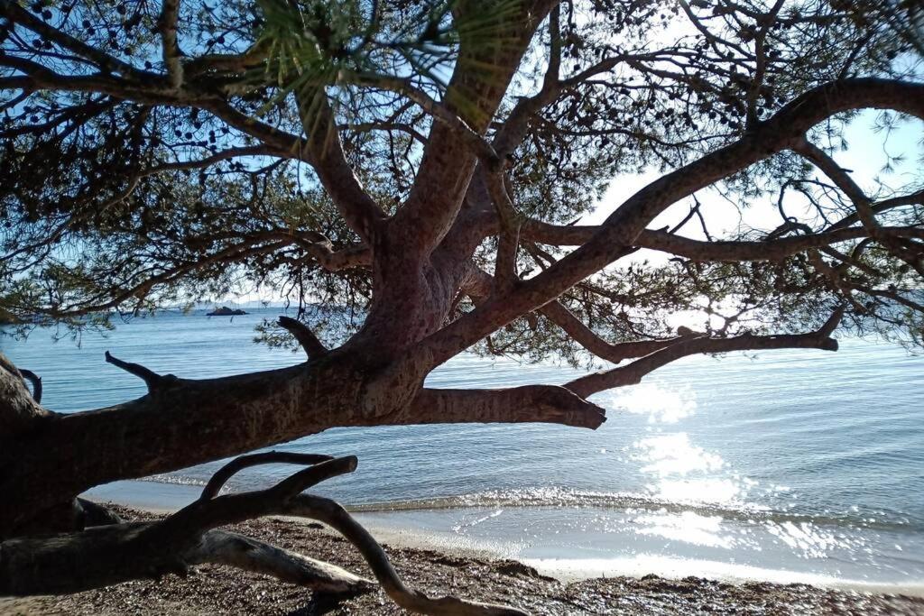Face Mer Entre Plage Et Marina Bormes-les-Mimosas Zewnętrze zdjęcie