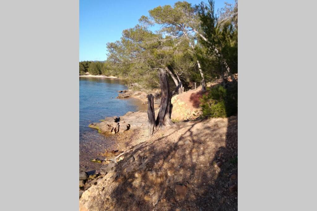 Face Mer Entre Plage Et Marina Bormes-les-Mimosas Zewnętrze zdjęcie